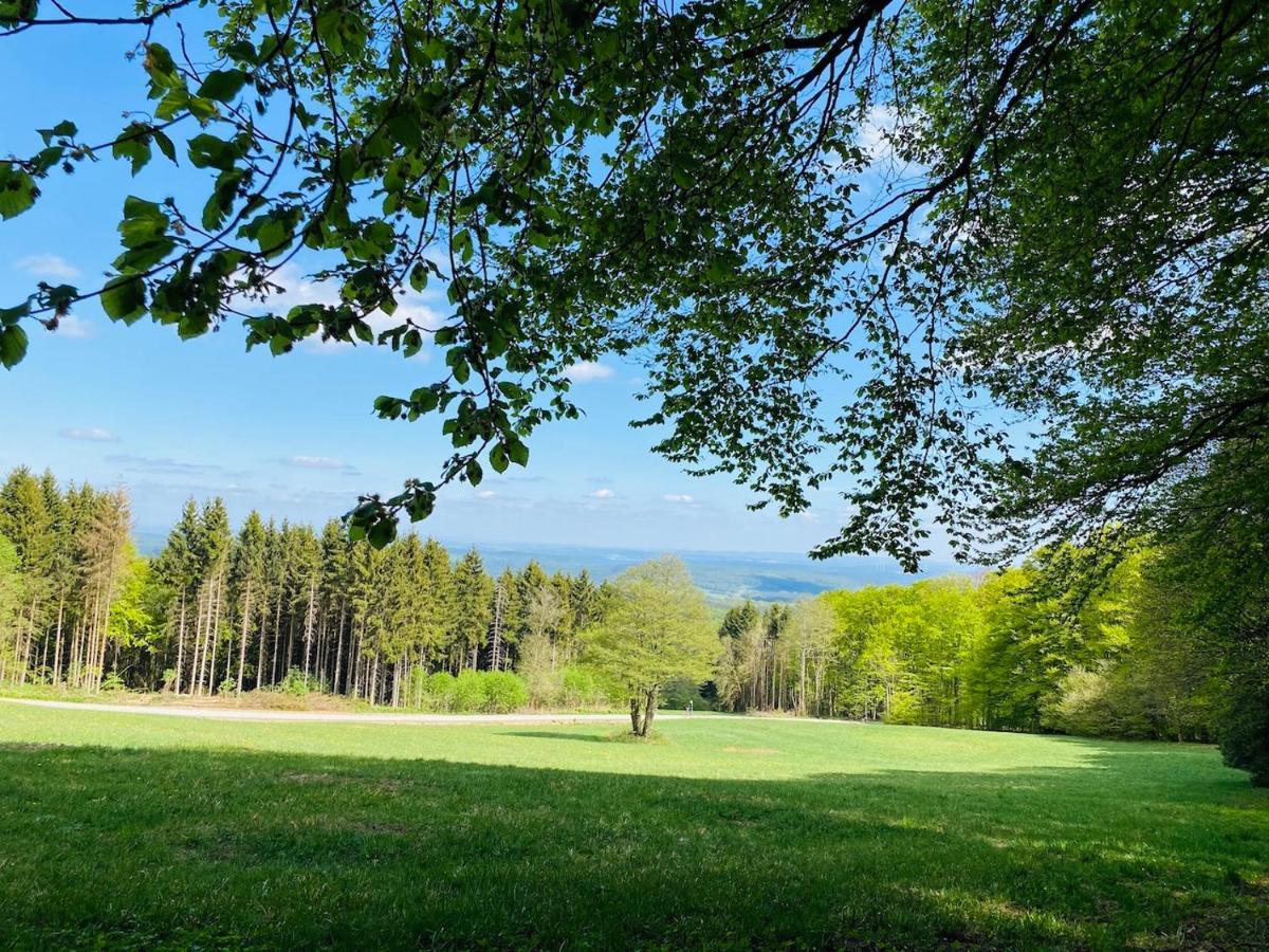 Pension Schmitt Waldfenster Extérieur photo