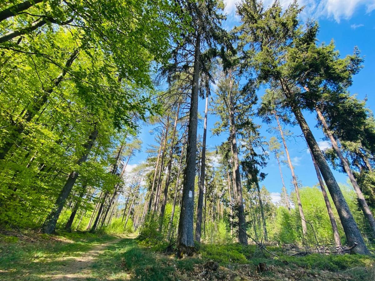 Pension Schmitt Waldfenster Extérieur photo