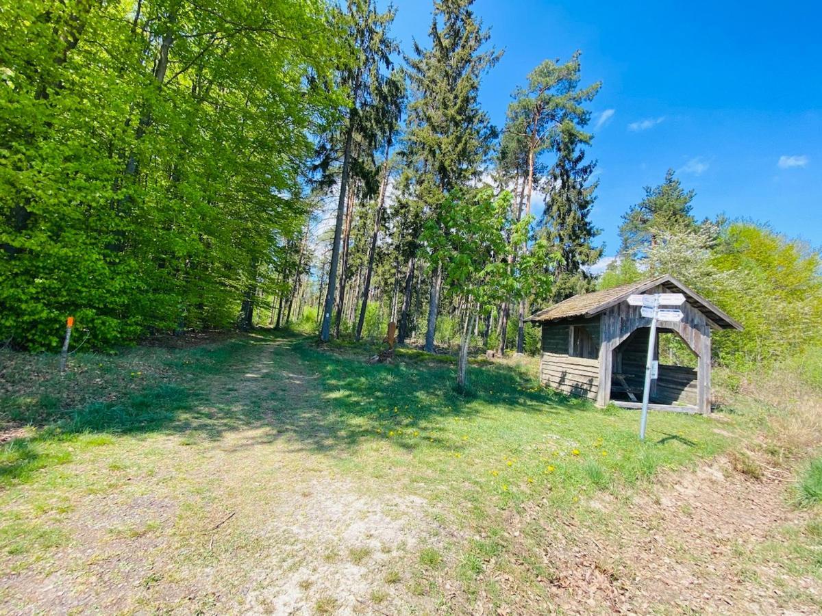 Pension Schmitt Waldfenster Extérieur photo